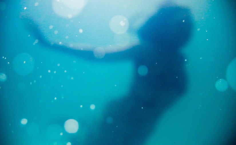 The Blue Bottle to be Published This&nbsp;Summer